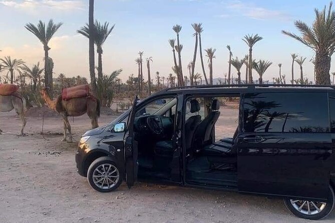 Transfert Marrakech to Essaouira Or Essaouira to Marrakech - Start Time and Meeting Point
