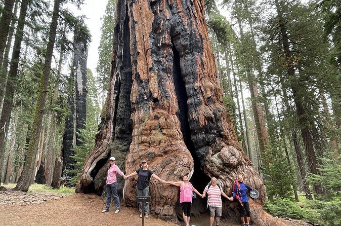 Transformative Outdoor Day Retreat Among the Giant Sequoias - Final Thoughts