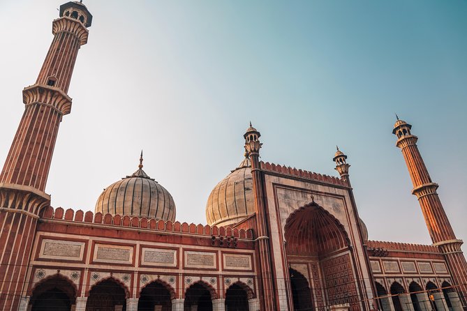 Transit Tour - Best of Old Delhis Attractions & Food on a Guided 4 Hours Tour - Culinary Delights