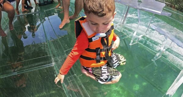 Transparent Boat Ride With Beer in Cancun - Booking Information