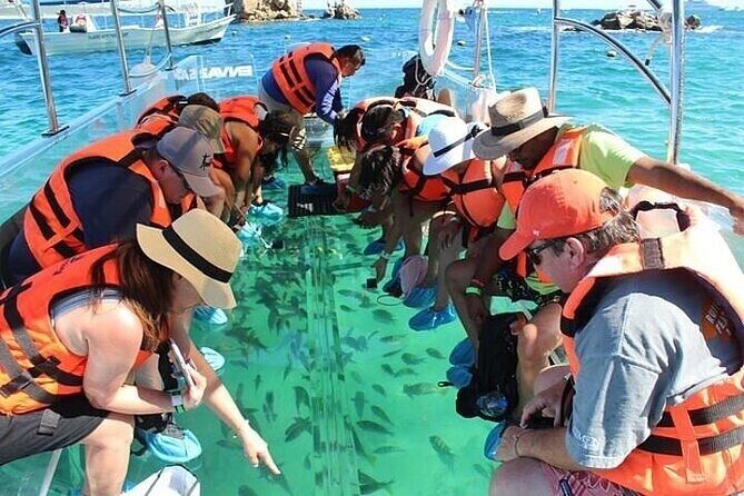 Transparent Boat Tour Cabo San Lucas Arch and Playa del Amor - Logistics and Practical Details