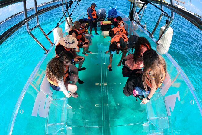 Transparent Boat Tour Cozumel Snorkel, 2 Drinks - Who Will Love This Tour?