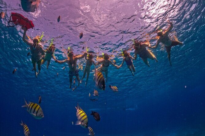 Transparent Boat Tour in Cozumel: See Marine Life Up Close - Exploring the Itinerary in Detail