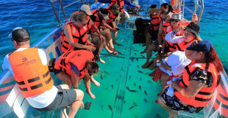 Transparent Boat Tour to The Arch - Los Cabos - Boat Specifications
