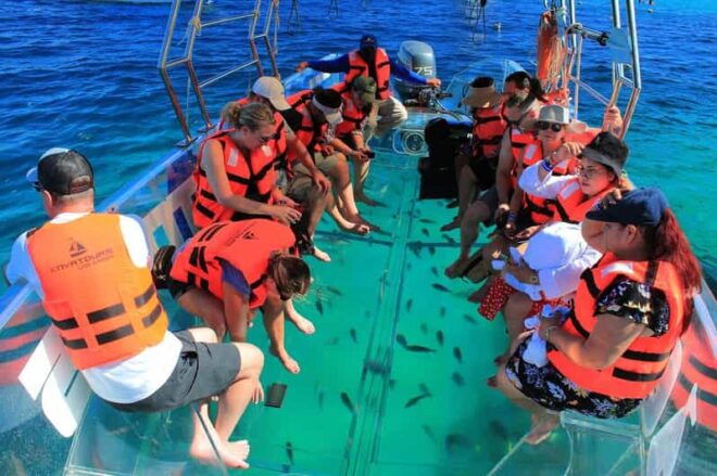 Transparent Boat Tour to The Arch - Los Cabos - Exploration of the Cabo Arch