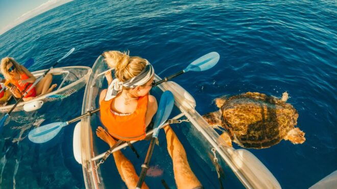 Transparent Kayak Experience in Tenerife South - Booking Policies