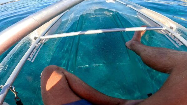 Transparent Kayak Experience in Tenerife South - What to Bring