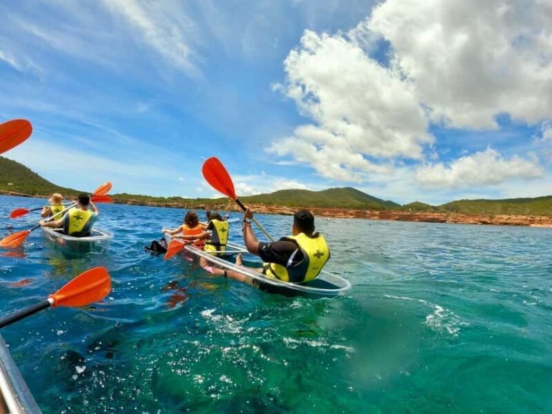 Transparent Kayak or SUP Guided Tour in Pou des LLeo - Authentic Feedback from Participants