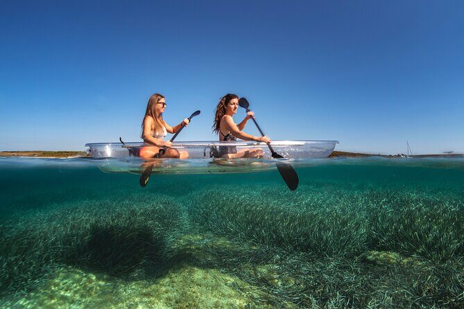 Transparent Kayak Rental - Explore the Underwater World - Good To Know