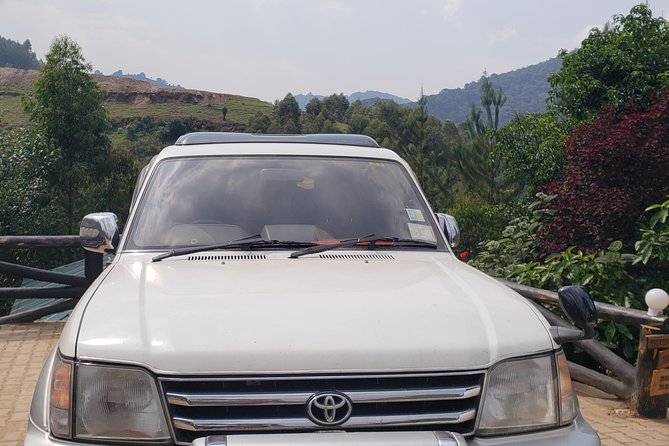 Transport From Kigali to Bwindi National Park - Good To Know