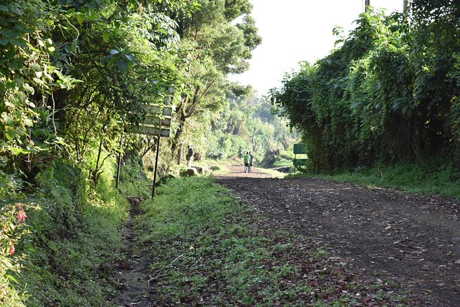 Transport From Kigali to Bwindi National Park - Cancellation Policy