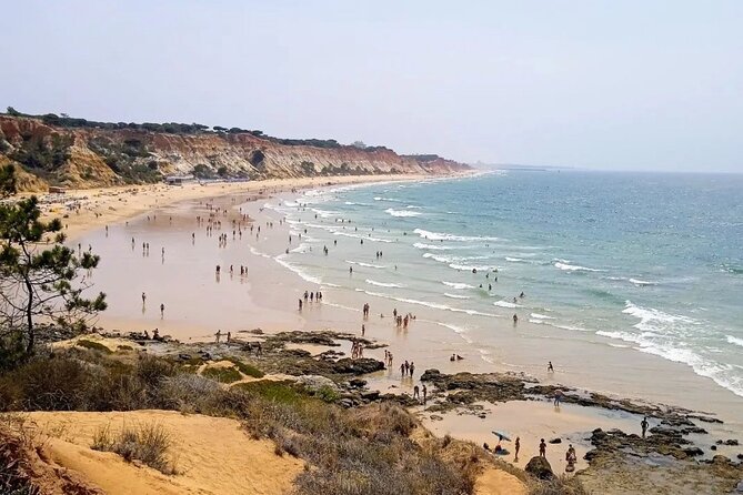 Transport From Lisbon/Algarve or Algarve/Lisbon - Authenticity of Reviews