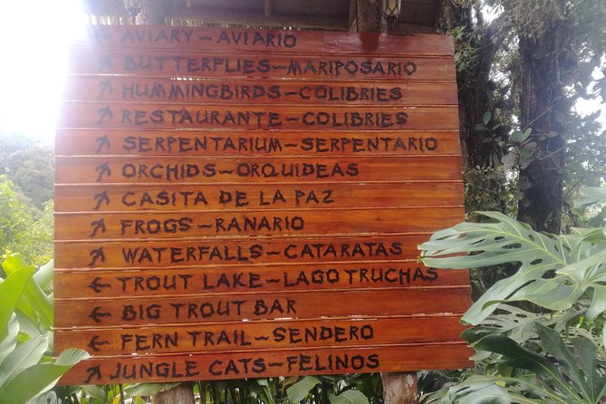 Transport From San Jose to La Fortuna - Additional Service Information