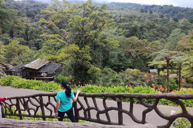 Transport From San Jose to La Fortuna - Customer Reviews and Ratings