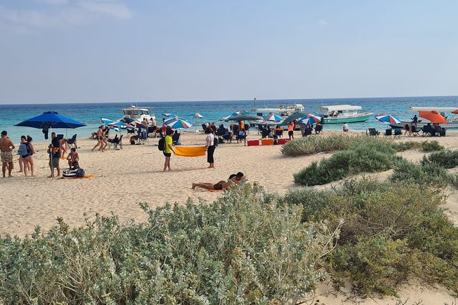 Transport to Yanbu Baridi Island - Review Details