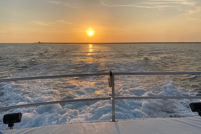 Transport to Yanbu Baridi Island - Booking Conditions