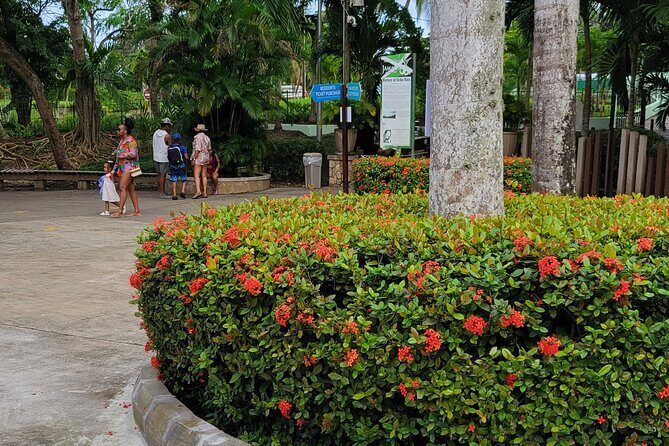 Transportation Dunns River,Blue hole horse back riding day trip - Authentic Experiences and Hidden Gems