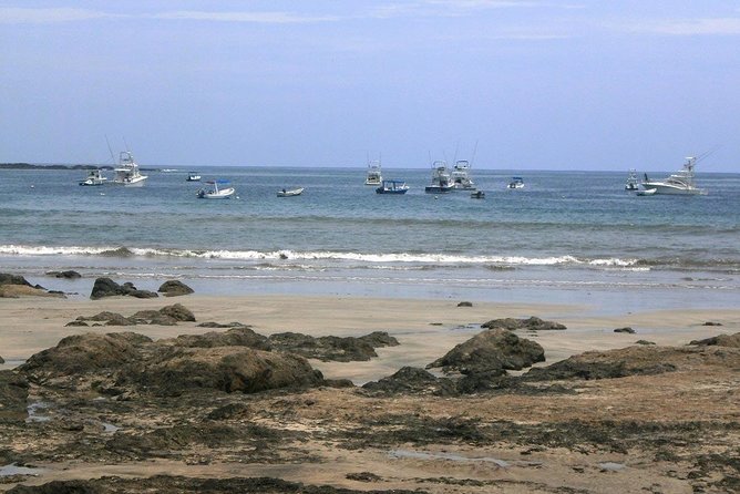 Transportation From La Fortuna to Tamarindo Beach - Transportation Options Available