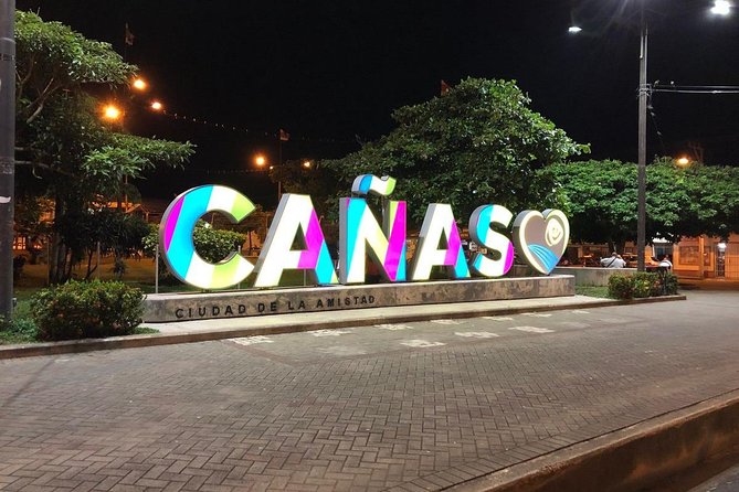 Transportation From La Fortuna to Tamarindo Beach - Benefits of Private Transportation Service
