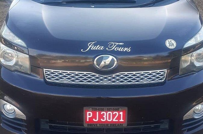 Transportation from Montego Bay to your Hotel. - Authentic Feedback and Real Experiences