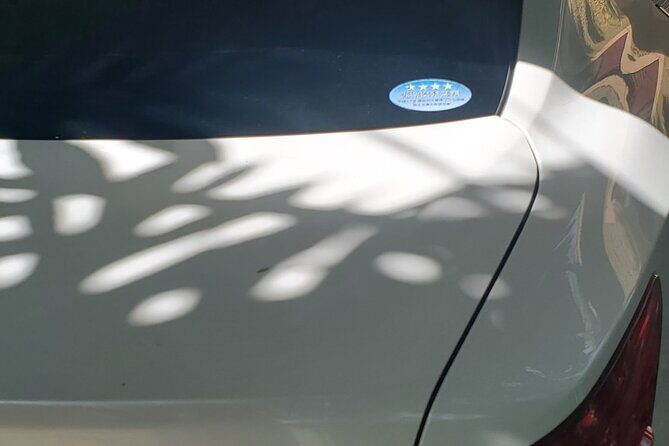 Transportation from Montego Bay to your Hotel. - Who Should Book This Service?