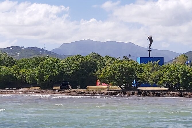 Transportation From San Juan to Ceiba Ferry or Airport - Overview of Service