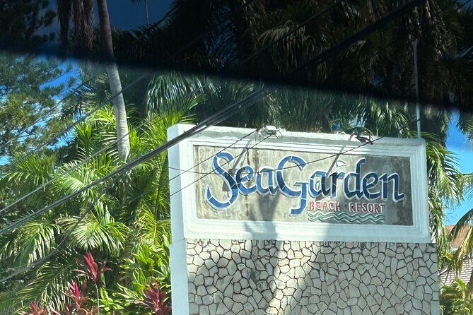 Transportation to any resort in Montego bay - The Role of the Driver: Friendly and Knowledgeable