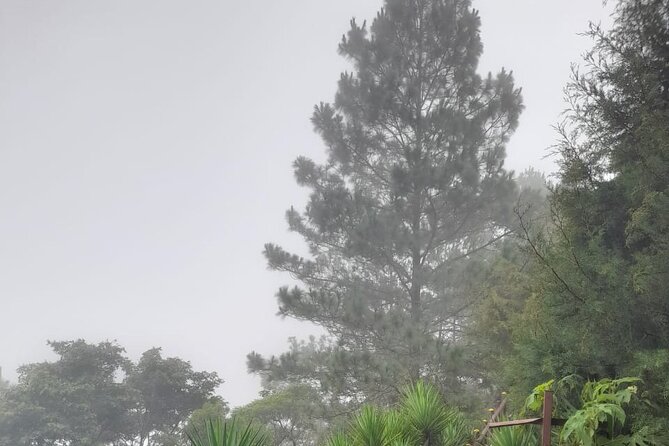 Transportation to El Boqueron National Park, San Salvador Volcano - Transportation Options