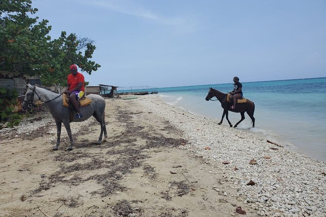 Transportation to Horse Back Ride & Swim Adventure From Ocho Rios - Pick-up Locations