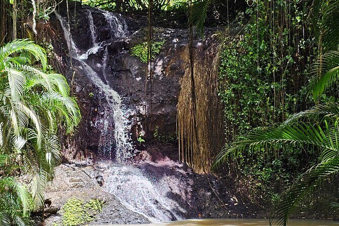 Transportation To St. Lucia Zipline Adventure - Ziplining Experience: What to Expect