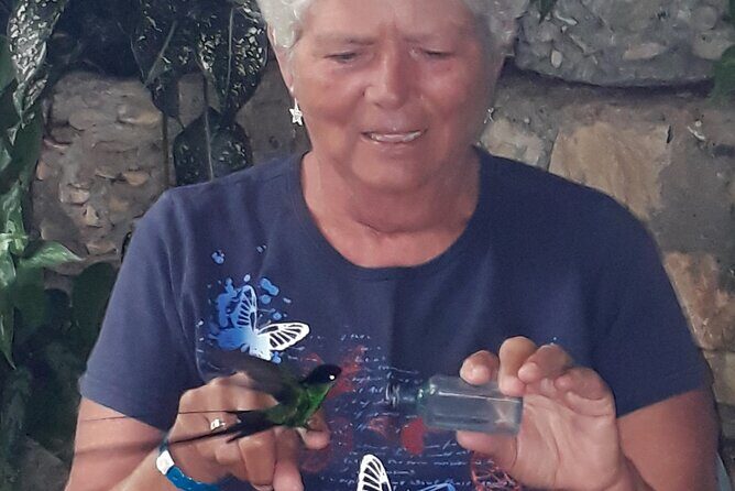 Transportation with Sightseeing to Montego Bay Bird Sanctuary - The Sanctuary: A Peaceful Bird-Feeding Haven