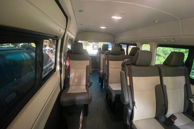 Transporte Privado desde el Aeropuerto de Punta Cana a Bávaro - The Experience: What You Can Expect