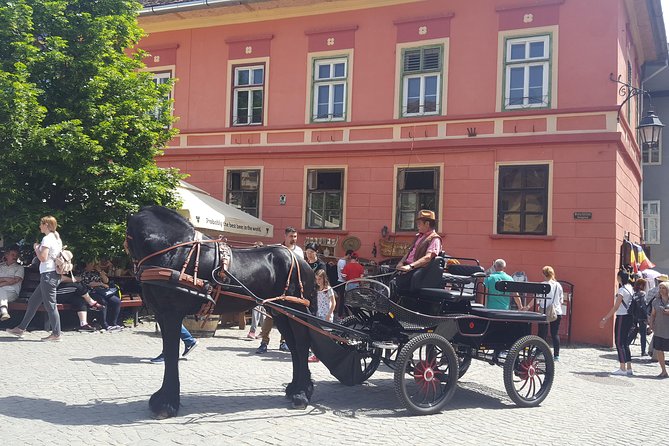 Transylvania 2 Days Tour Small Group - Tour Itinerary Highlights