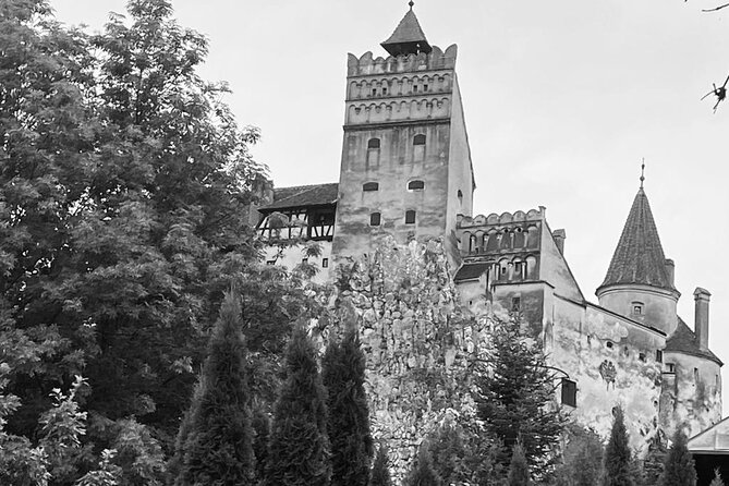 Transylvania and Draculas Castle, Brasov and Peles Castle From Bucharest - Inclusions