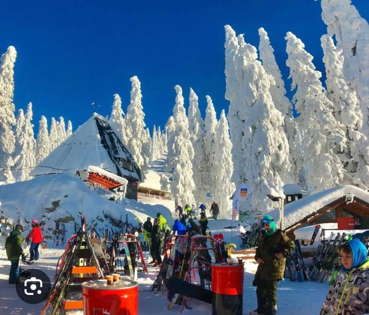 Transylvania: Christmas Markets Private Tour: Brasov & Sibiu - Good To Know