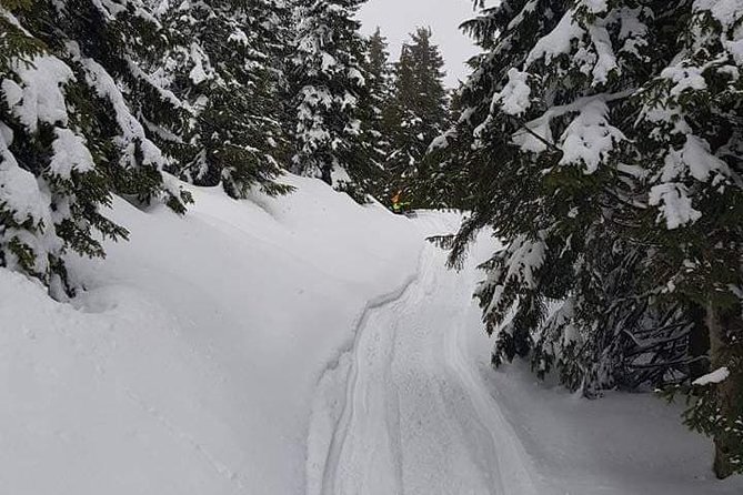 Transylvania, Draculas Castle & Fun With the Snowmobile or ATV Tour in One Day - Itinerary Highlights