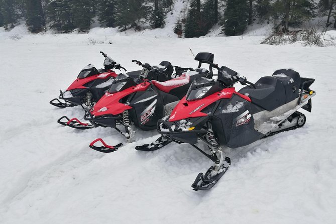 Transylvania, Draculas Castle & Fun With the Snowmobile or ATV Tour in One Day - Tour Inclusions