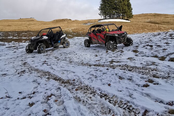Transylvania, Draculas Castle & Fun With the Snowmobile or ATV Tour in One Day - The Sum Up