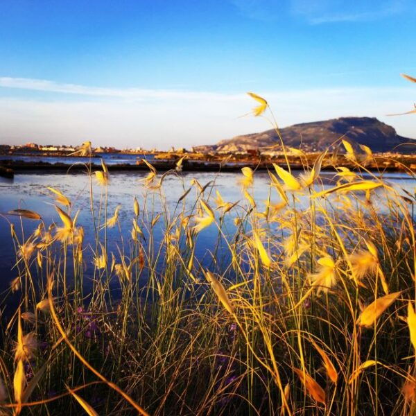 Trapani: 2-Hour Salt Flats Tour - Common Questions