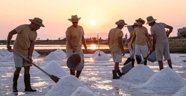 Trapani: Guided Tour of the Salt Pans and Salt Museum - Tour Pricing and Duration