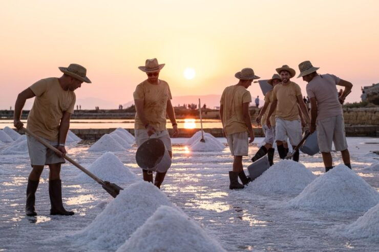 Trapani: Guided Tour of the Salt Pans and Salt Museum - Language and Accessibility Information