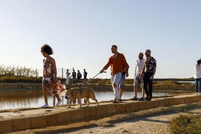 Trapani: Guided Tour of the Salt Pans and Salt Museum - The Sum Up