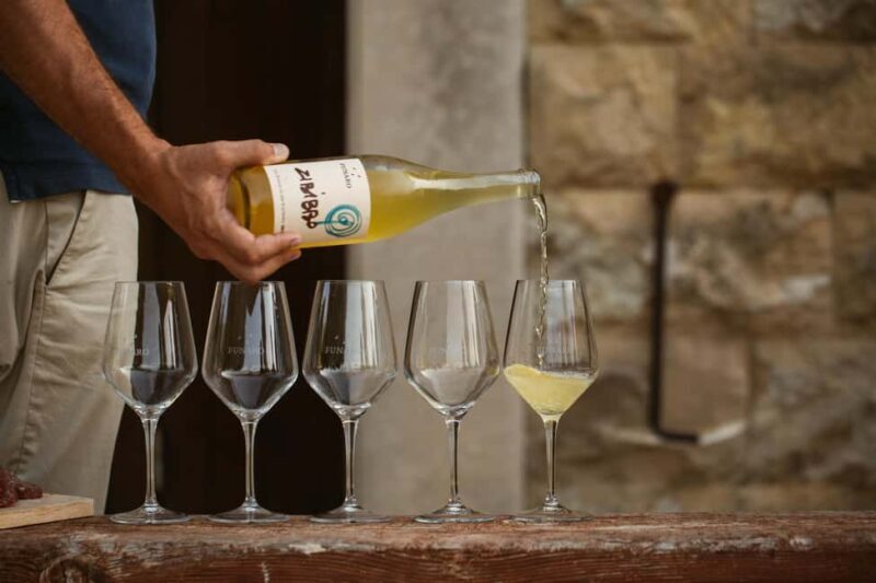 Trapani: Organic Wine Tasting with the Producer - Trapani: Organic Wine Tasting with the Producer