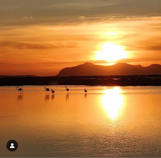 Trapani: Salt Pans Sunset Tour and Flamingo Way - FAQs