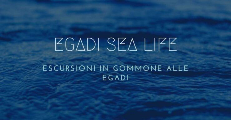 Trapani Tour One Day to the Egadi Islands Favignana and Levanzo - Egadi Islands: Cradle of Clear Waters