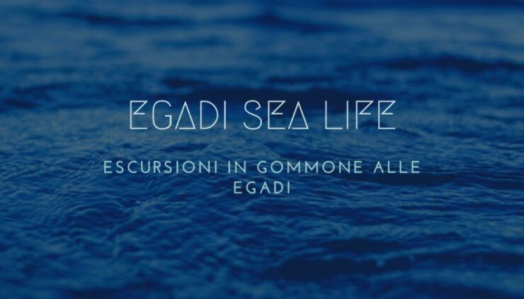 Trapani Tour One Day to the Egadi Islands Favignana and Levanzo - Favignana: Cave Exploration and More