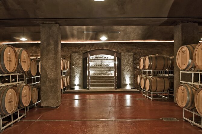 Trapiche Winery + Laur + Antigal Winery Lunch.Transfer Included - Lunch Experience