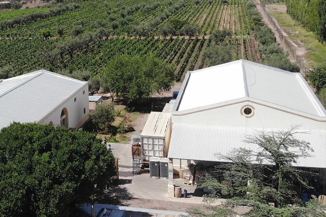 Trapiche Winery + Laur + Antigal Winery Lunch.Transfer Included - Customer Satisfaction