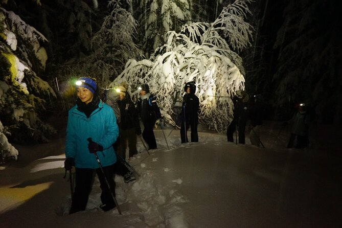 Trappeurs Evening : Snowshoeing and Dinner in a Mountain Refuge - Stunning Views: Immerse Yourself in Breathtaking Scenery