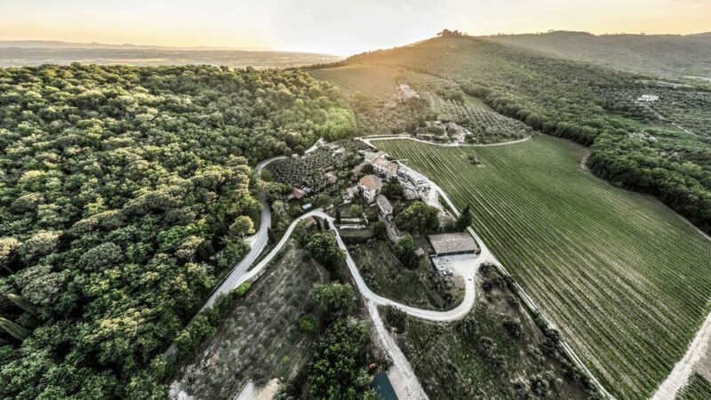 Trasimeno: Discovering Montemelino Wine Experience - Exploring the Montemelino Wine Experience: What to Expect